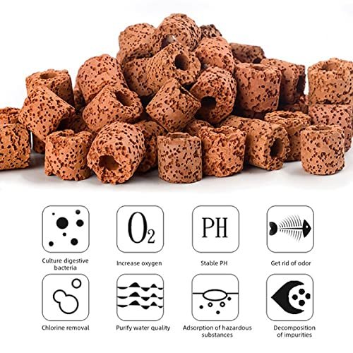 51jOWUPQm3L_61b78796-e3e6-4efd-b3cb-ab9d0e7efa9f