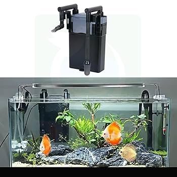 71enwy9szYL._UF350,350_QL80_