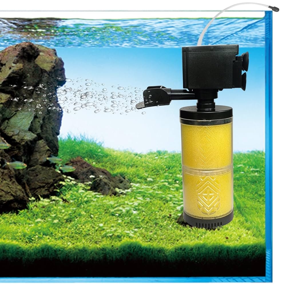 71ymFv8pRpL._UF1000,1000_QL80_