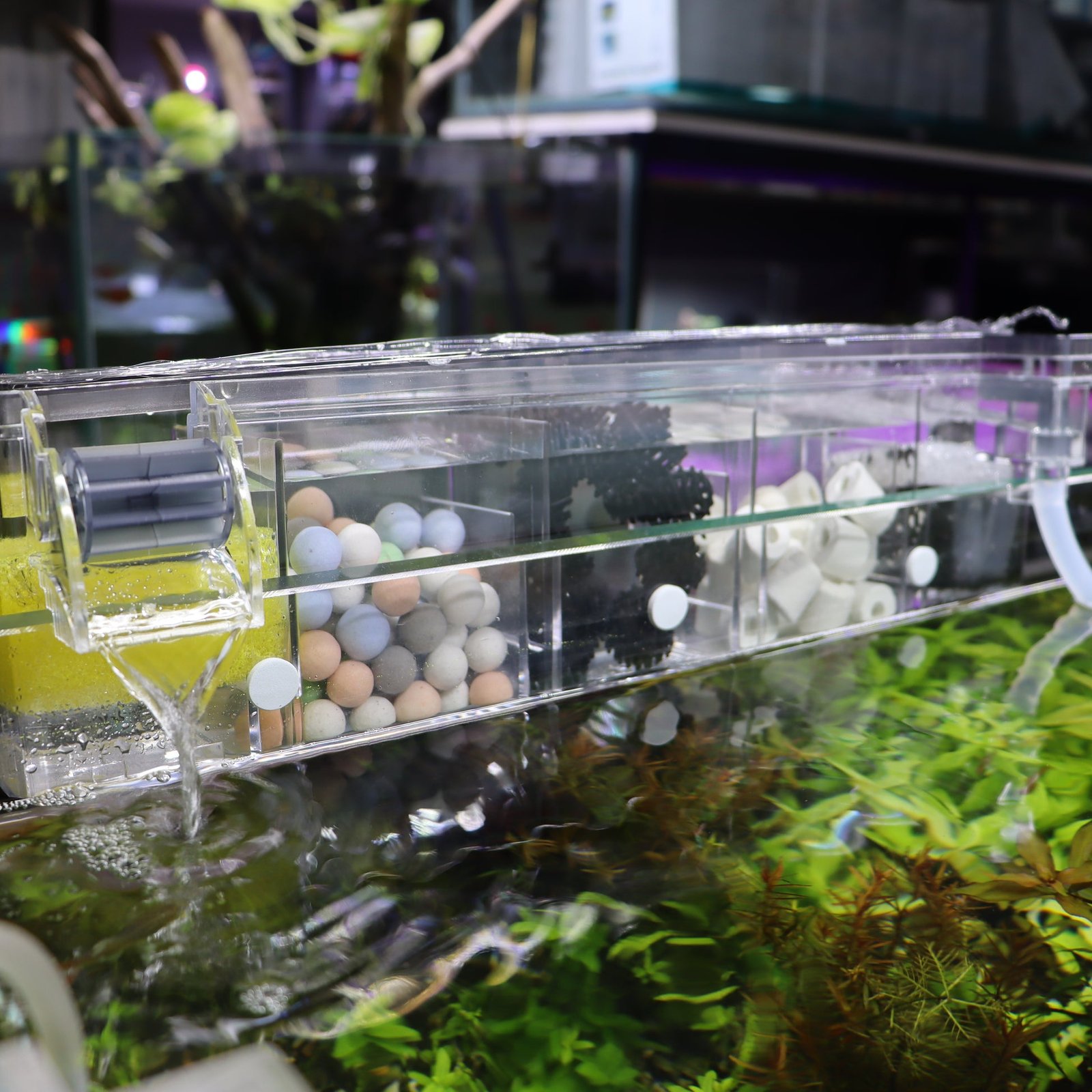 C2B54232-8ADC-49B5-A449-69D103EE45F7