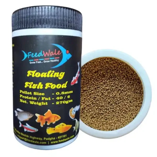 Fish Foods