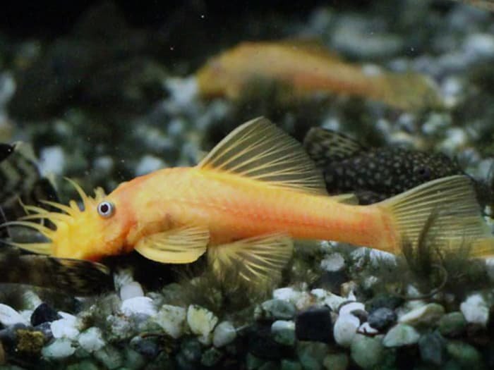 IMG-20250828-WA0355(1)