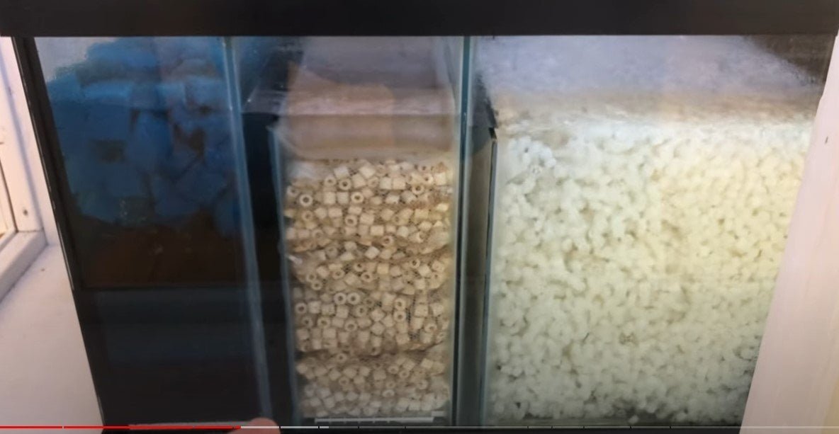 Overkillsump.jpg.b60b0441dc56c288d98ad35d1a88041c