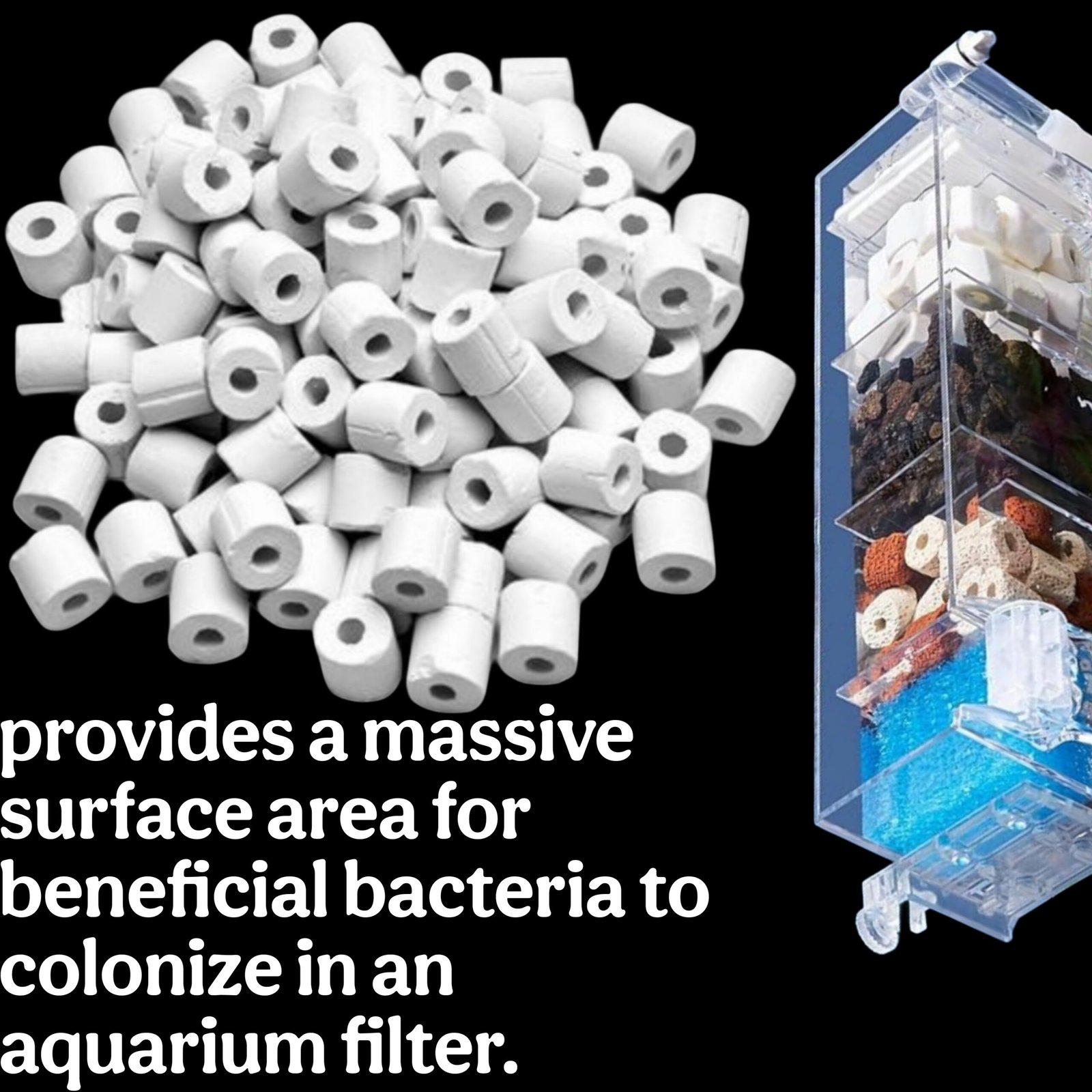 Picsart_25-10-11_16-08-09-479