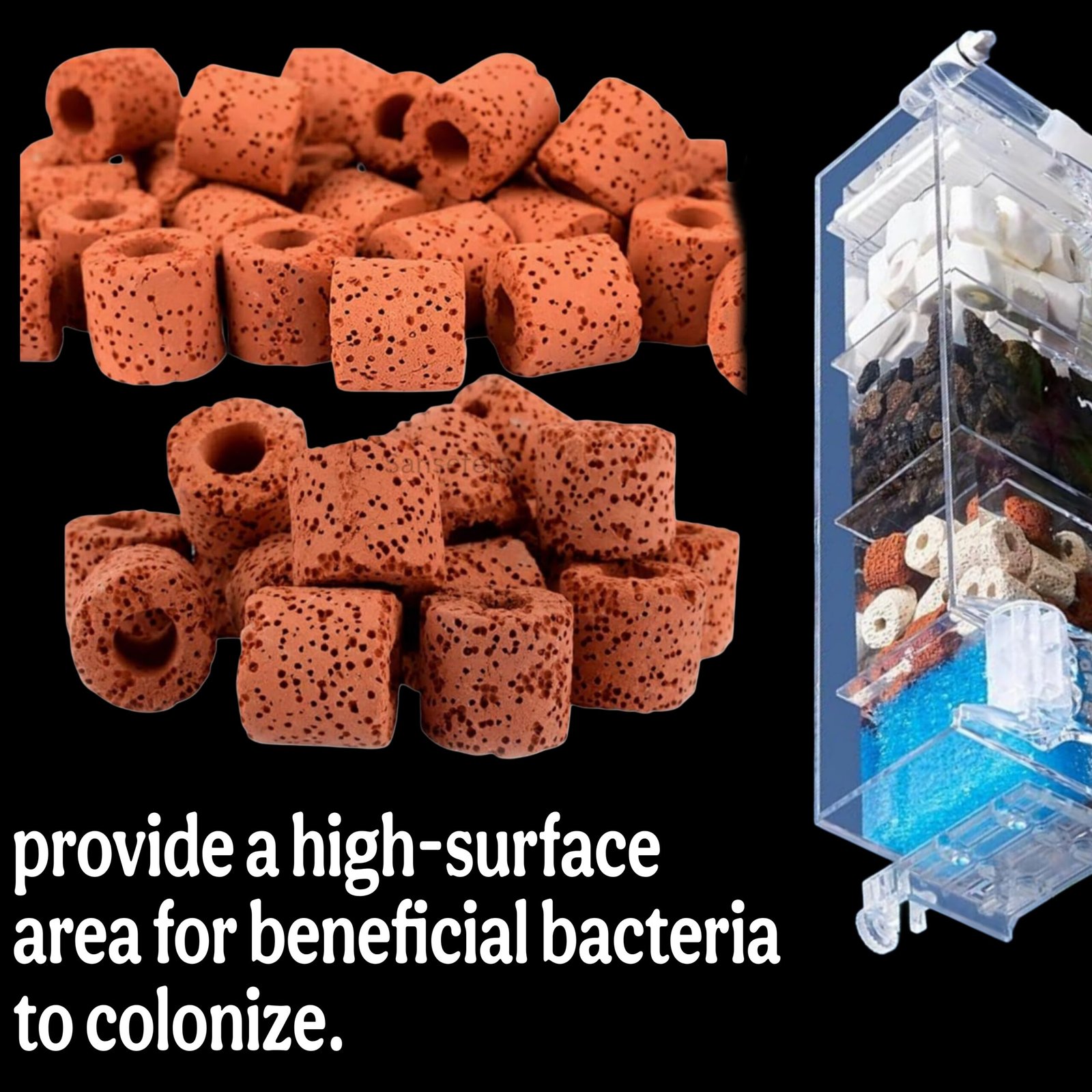 Picsart_25-10-11_16-15-07-849