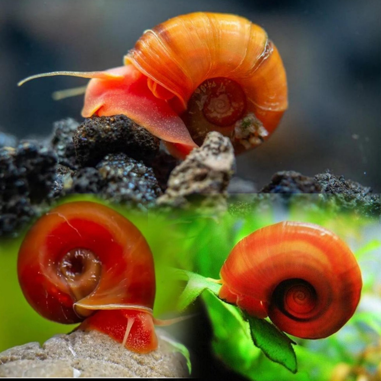 Picsart_25-10-12_23-34-23-747