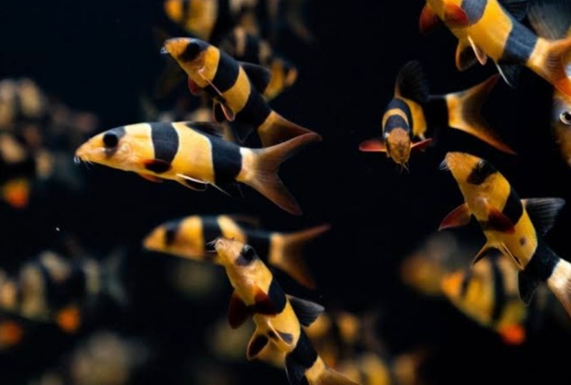 Screenshot_2025-08-30-18-39-15-401_com.google.android.googlequicksearchbox-edit