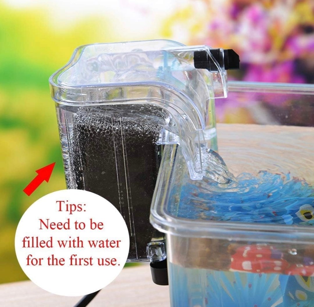 Screenshot_2025-09-06-21-49-57-111_in.amazon.mShop.android.shopping-edit