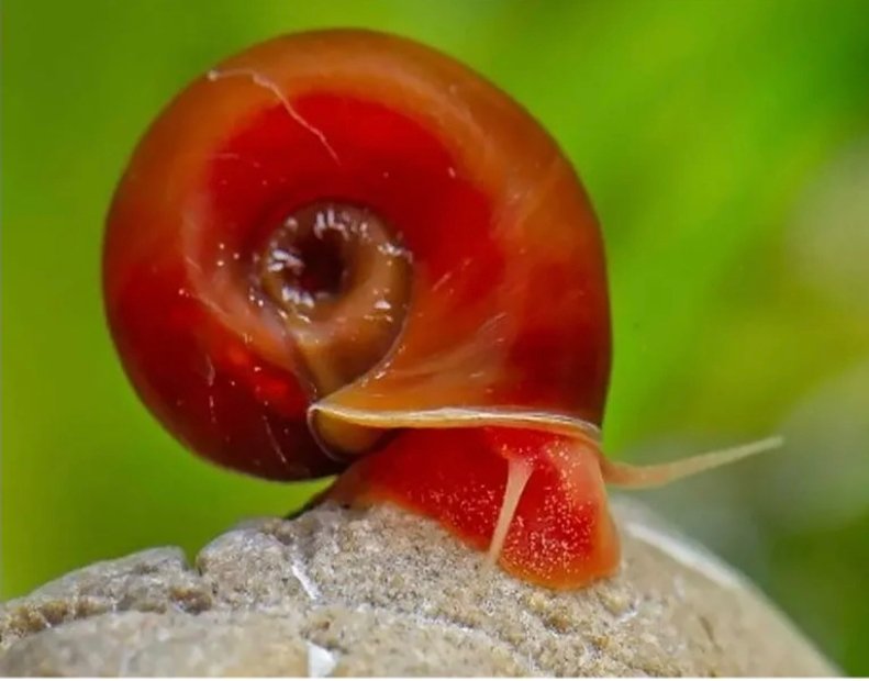 Screenshot_2025-10-12-23-31-26-681_com.google.android.googlequicksearchbox-edit