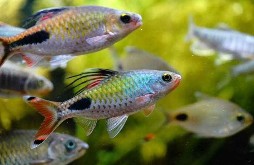 Screenshot_2025-10-19-22-49-24-214_com.google.android.googlequicksearchbox-edit