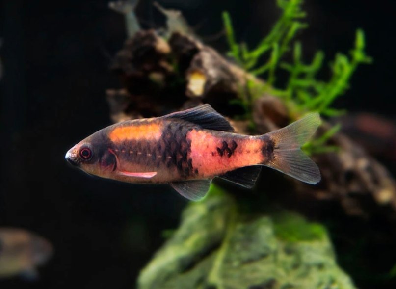 Screenshot_2025-10-19-22-55-21-396_com.google.android.googlequicksearchbox-edit