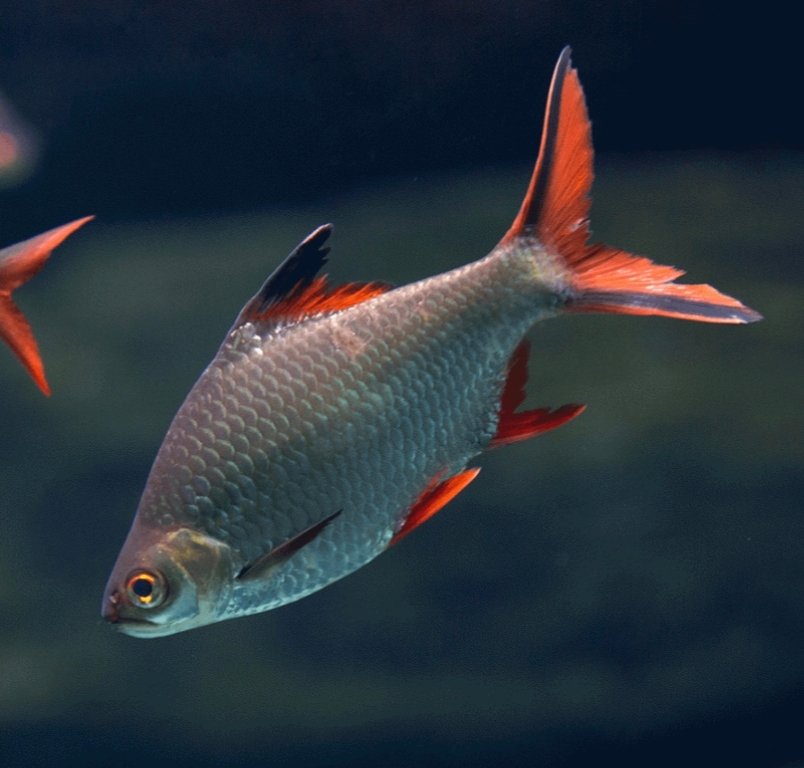 Screenshot_2025-10-19-23-12-39-952_com.google.android.googlequicksearchbox-edit