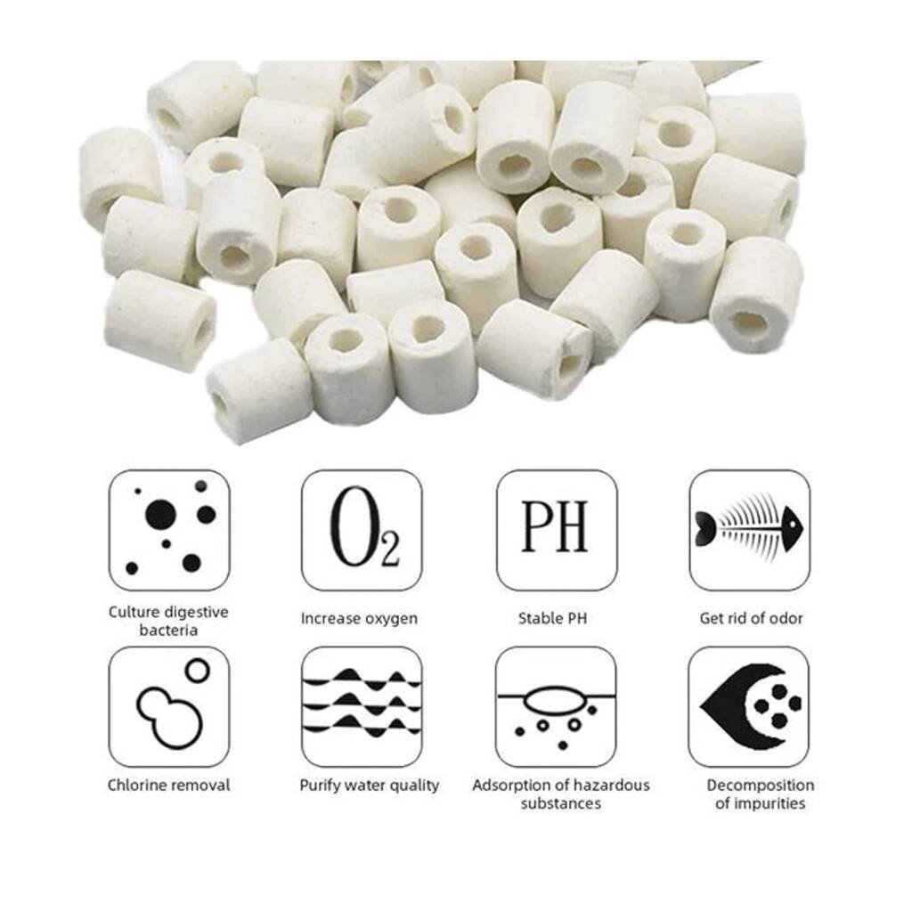 ceramic-ring-5-1024x1024