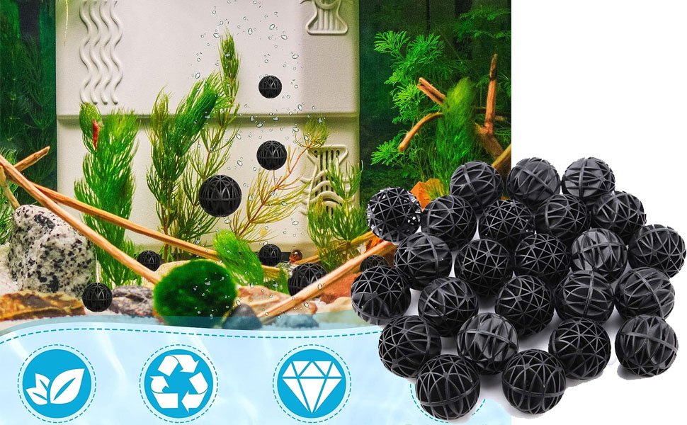 da6dd9c9-5867-4062-807b-84c905d3e28f.__CR0,0,970,600_PT0_SX970_V1___