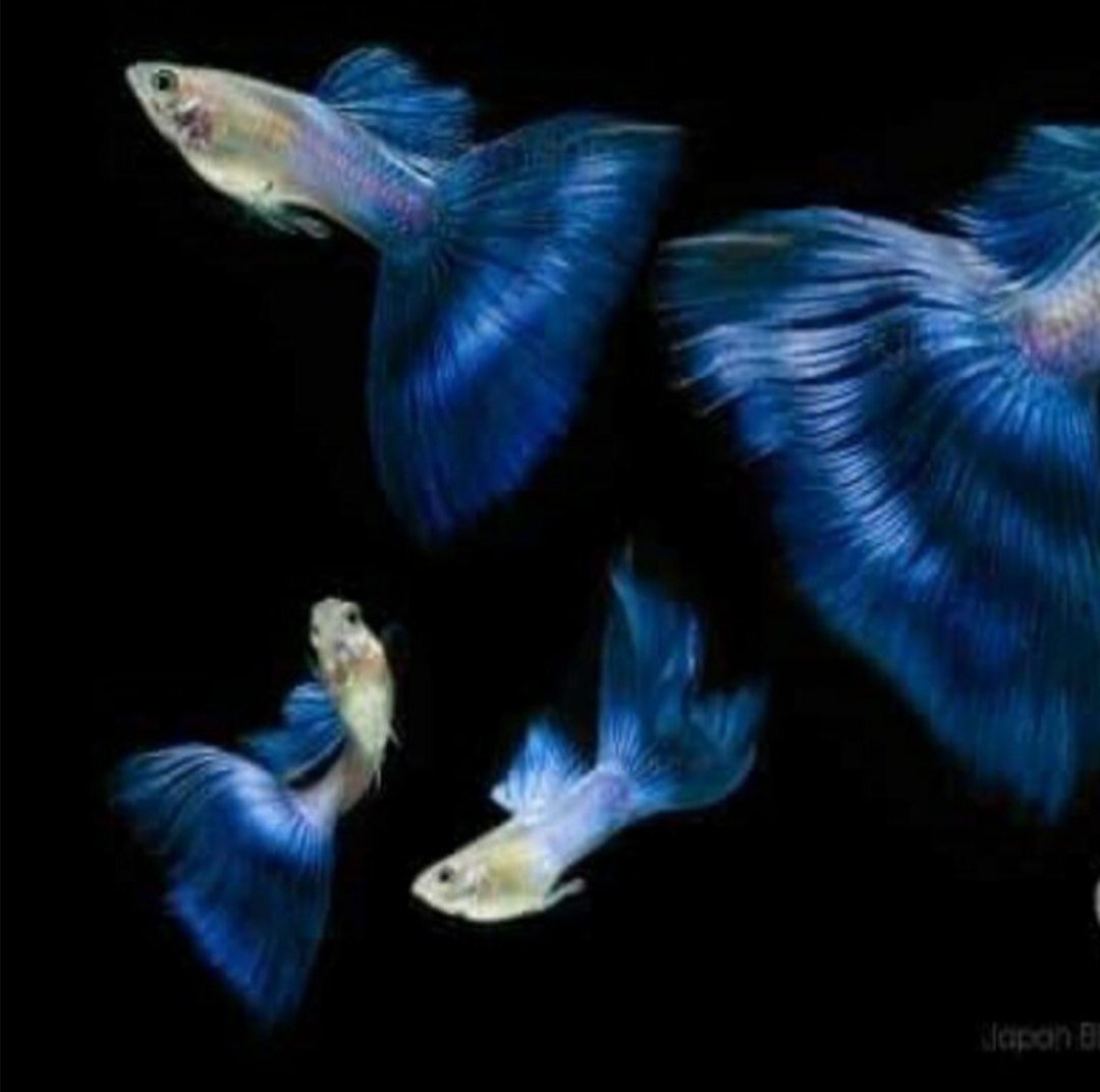 img-20220104-091538-jpg