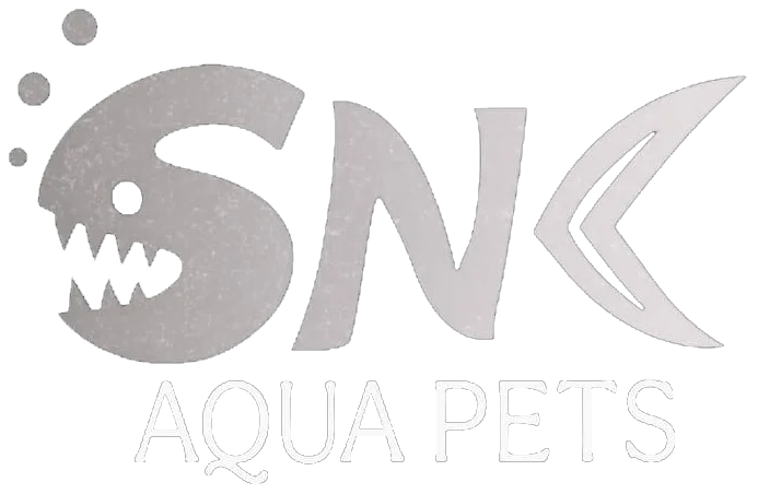 SNK Aqua Pets | Live Aquarium Fish Chennai
