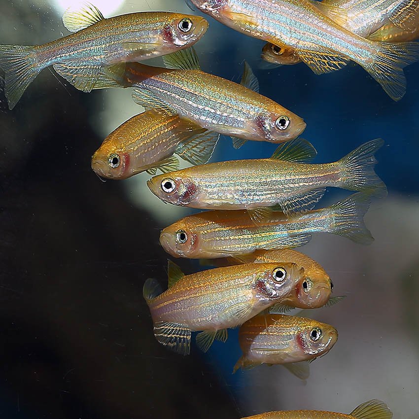 10101804-0621-4434-8646-5b431825e57f