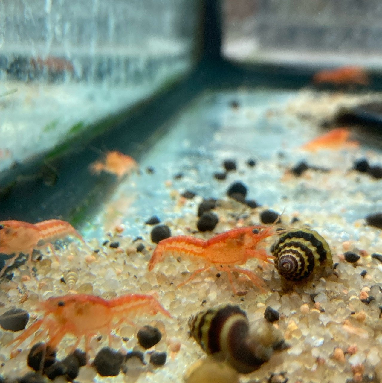 222B9E4C-D2BD-47A5-920A-319D746D243B__73887.1716477524