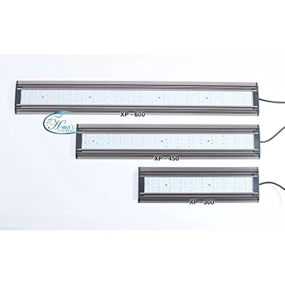 31MgzicQSlL._UF1000,1000_QL80_FMwebp_