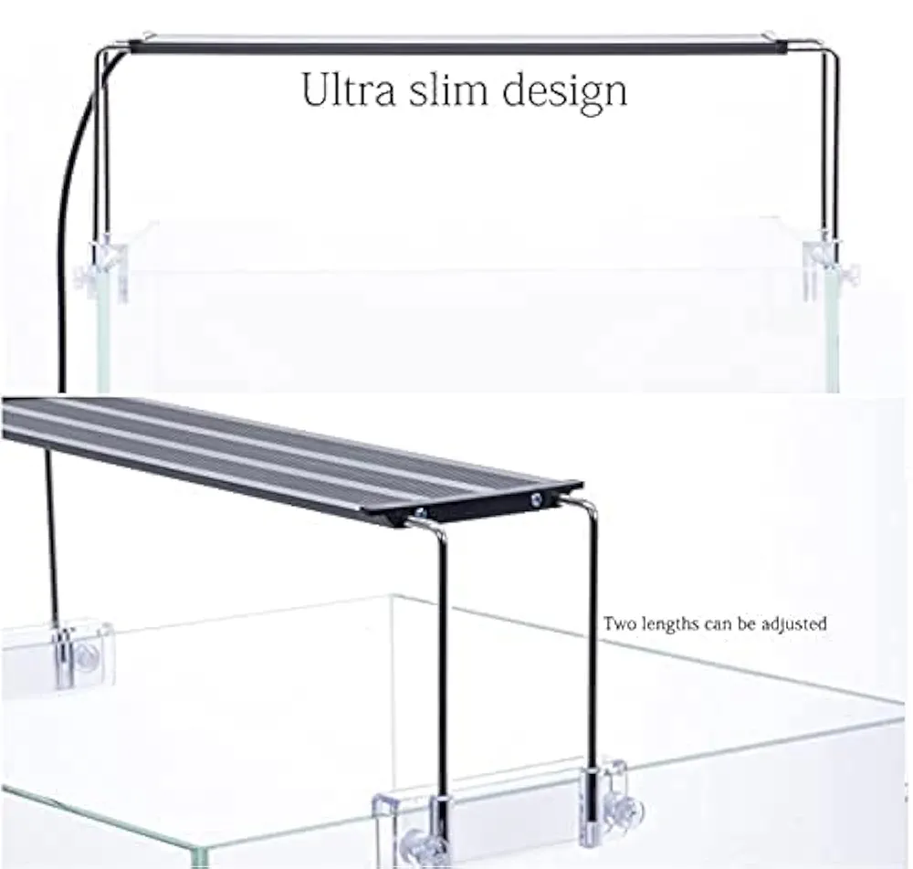 31rR+KlrTiL._UF1000,1000_QL80_FMwebp_