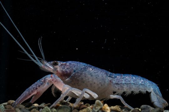 360_F_349653992_EuVs5HewyHDwdeFTYKiPT4RJoUaOdNti