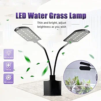 41c4t4YlTLL._UF350,350_QL80_FMwebp_