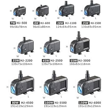 51b3PQsB7mL._UF350,350_QL80_