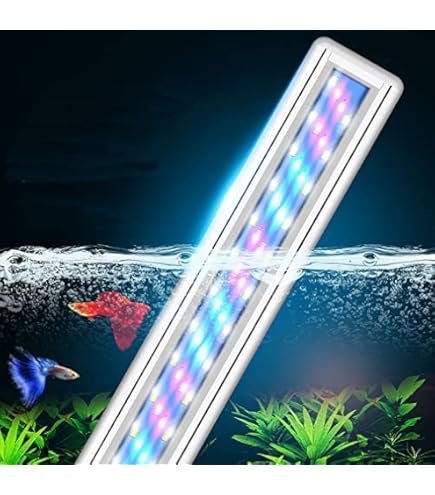 51hWo1qN1SL._AC_UL495_SR435,495_