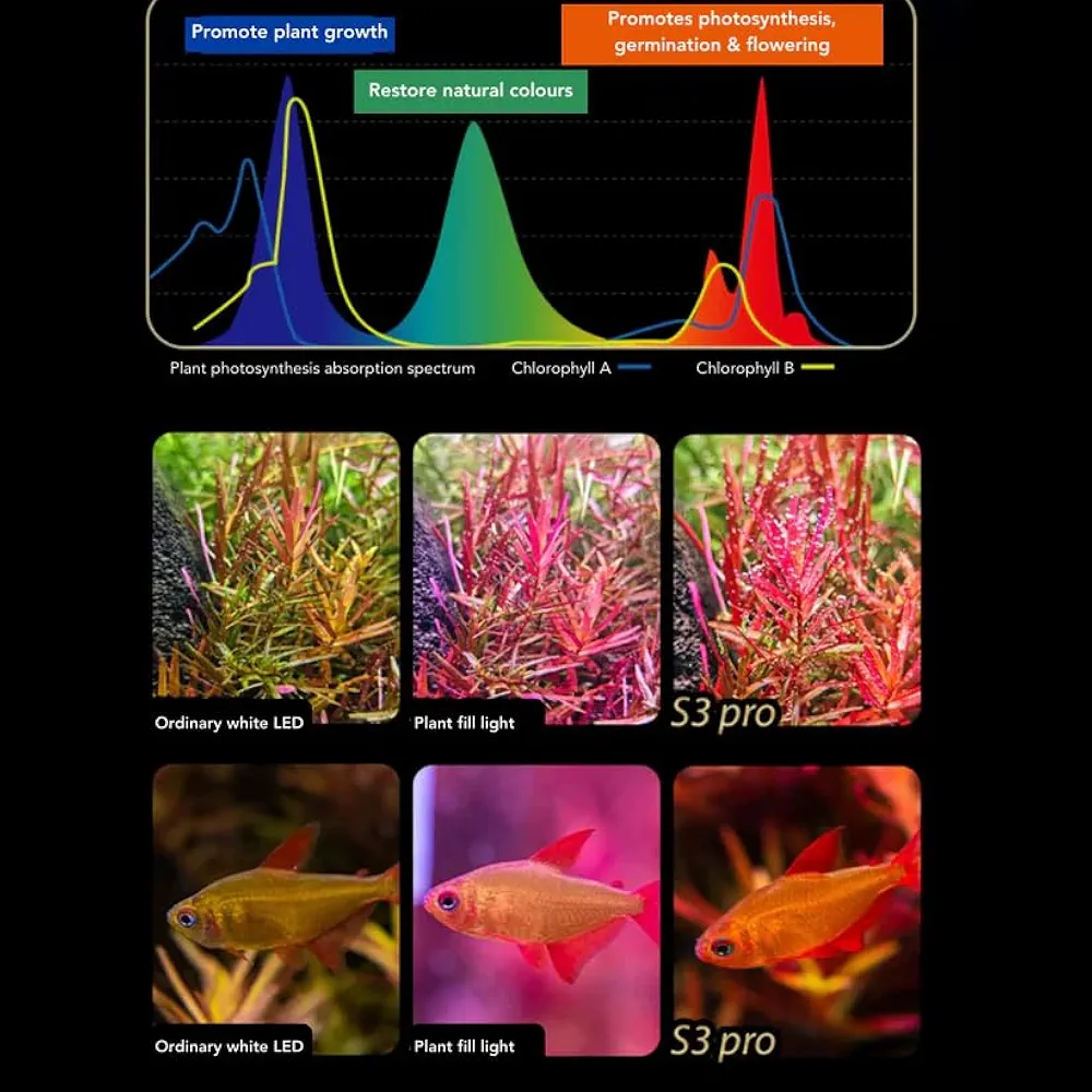 610ZsoWuFDL._UF1000,1000_QL80_FMwebp_