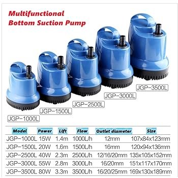 61YkHauDR3L._UF350,350_QL80_