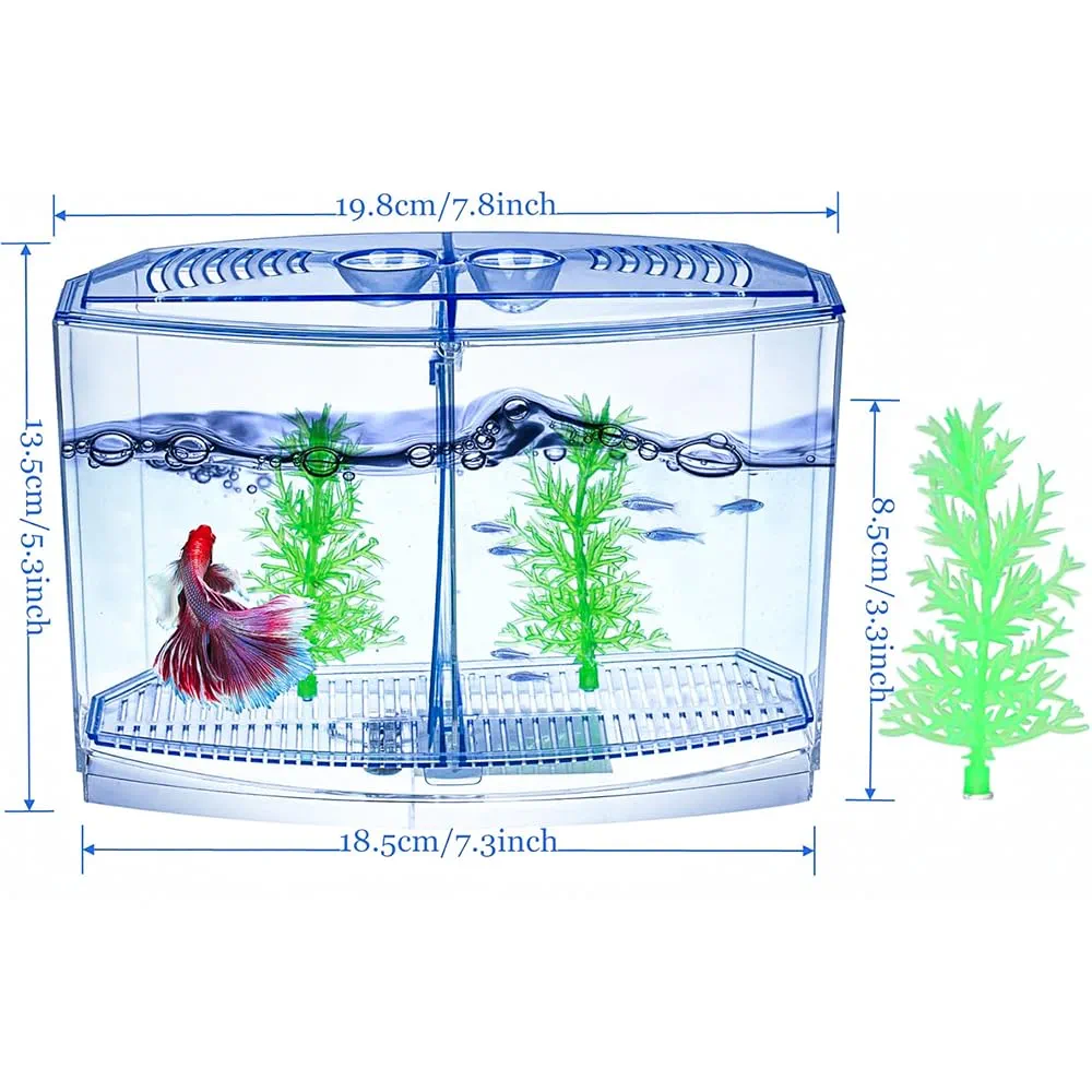 61vLLJIEIRL._UF1000,1000_QL80_FMwebp_