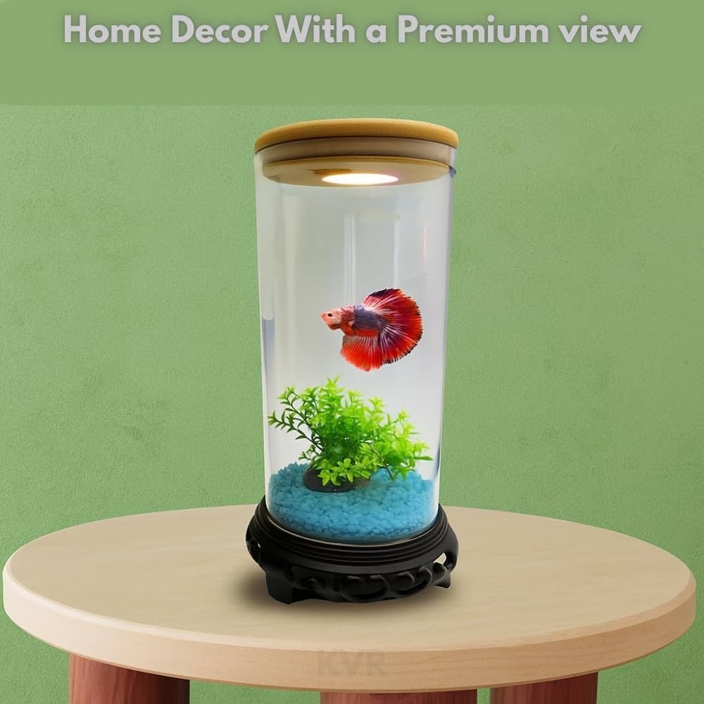 61zVd7OAmyL._UF1000,1000_QL80_