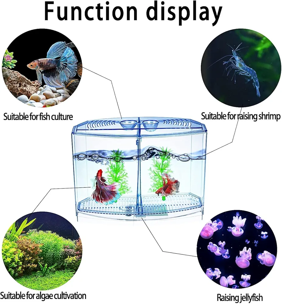 71-n1lLEqFL._UF1000,1000_QL80_FMwebp_