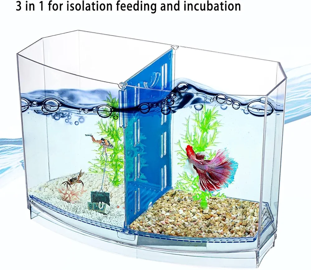 71FBCRwBKEL._UF1000,1000_QL80_FMwebp_