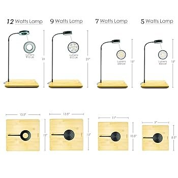 71LbaJbnLML._UF350,350_QL80_