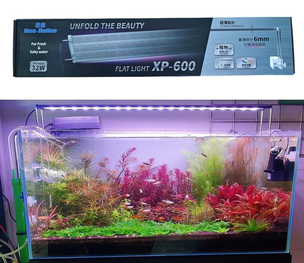 816wpOX61yL._UF1000,1000_QL80_