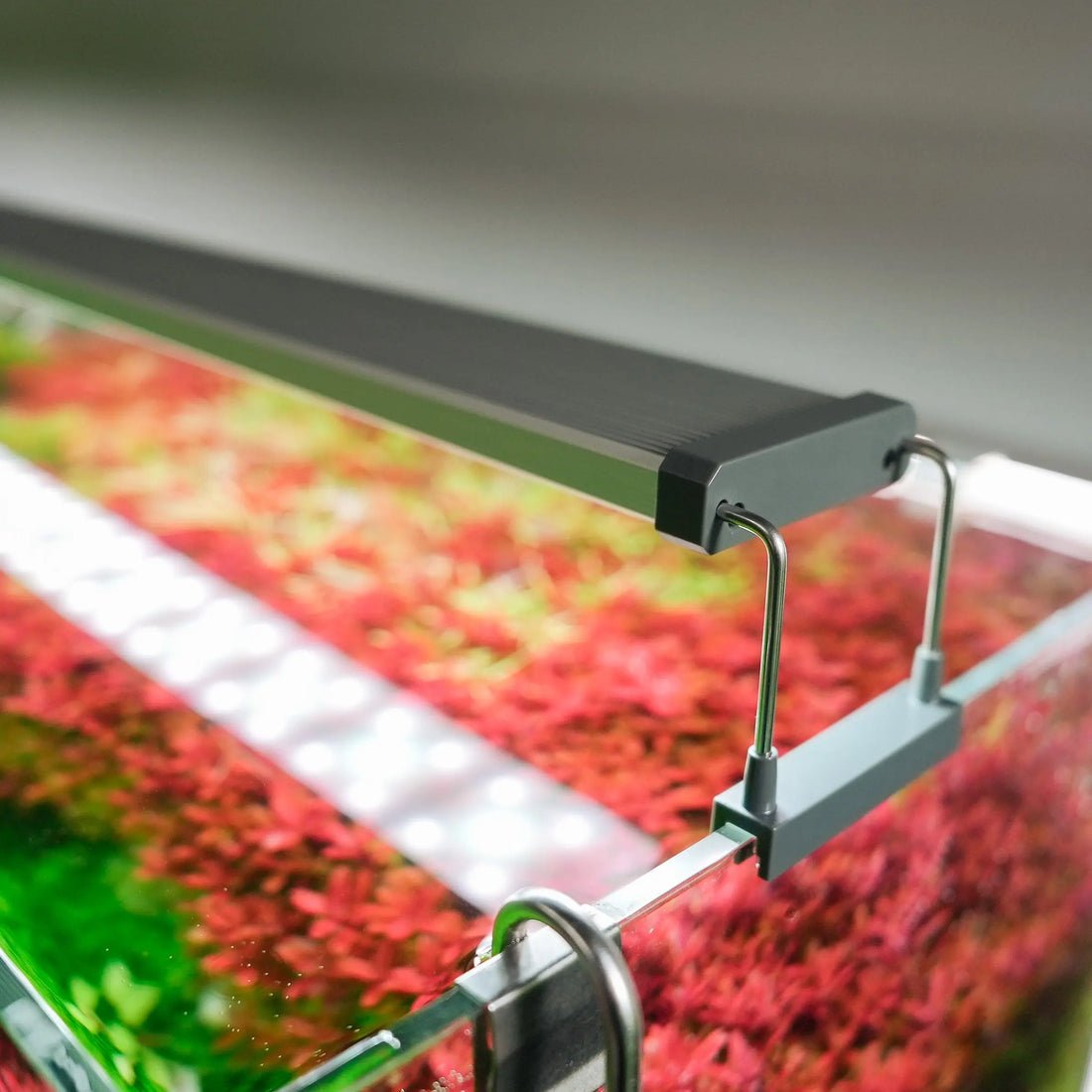 Chihiros-B-Series-LED-Lighting-System-chihiros-aquatic-studio-1680744344