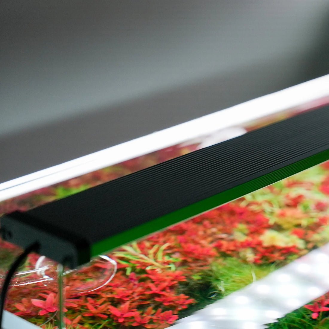 Chihiros-B-Series-LED-Lighting-System-chihiros-aquatic-studio-1680744355