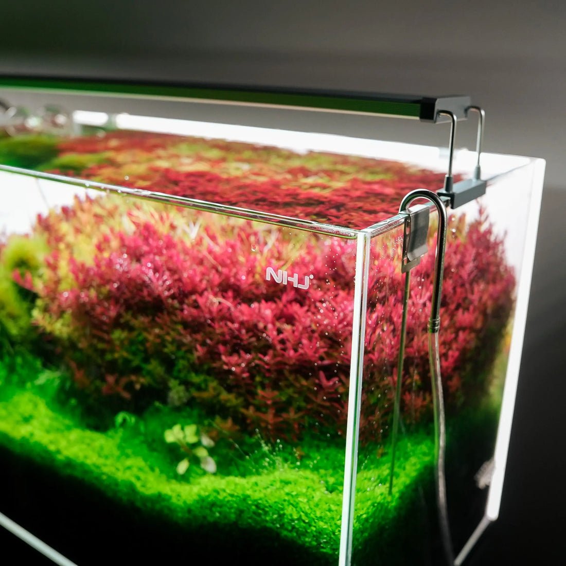 Chihiros-B-Series-LED-Lighting-System-chihiros-aquatic-studio-1680744370