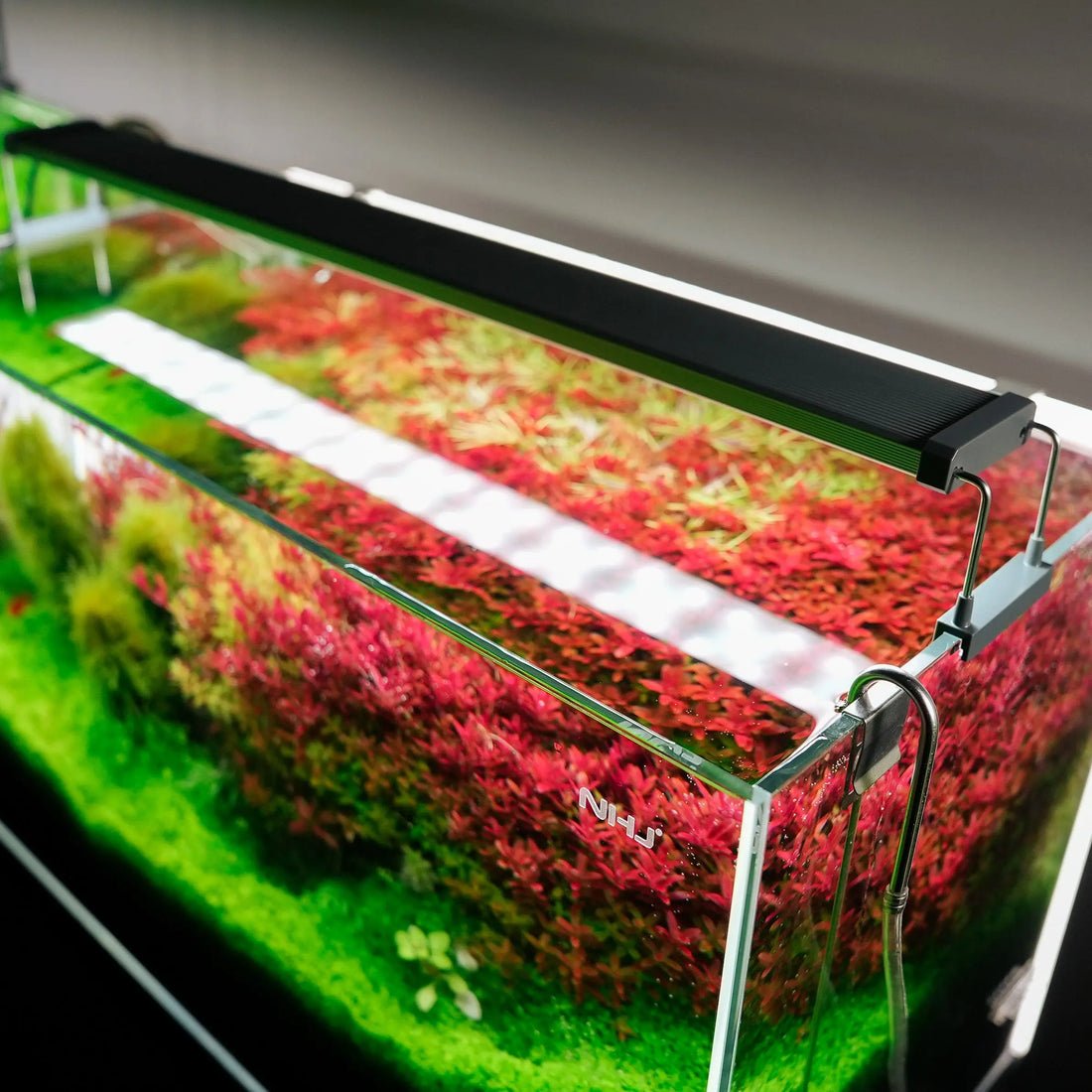 Chihiros-B-Series-LED-Lighting-System-chihiros-aquatic-studio-1680744374