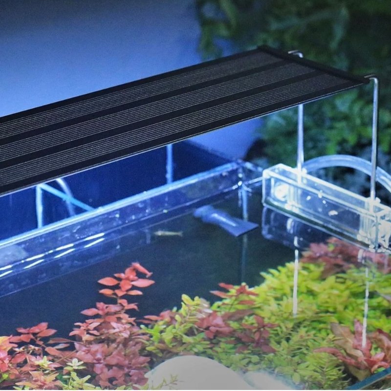 xr:d:DAFd75ywl8U:376,j:4613204507306760873,t:23060614