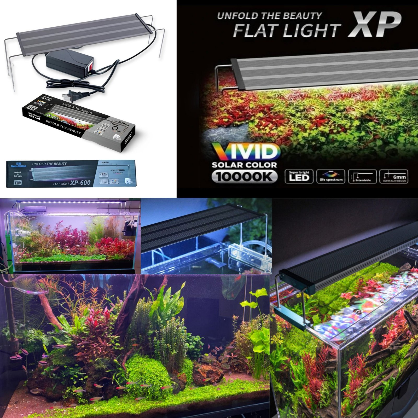 Picsart_25-09-27_01-12-11-830