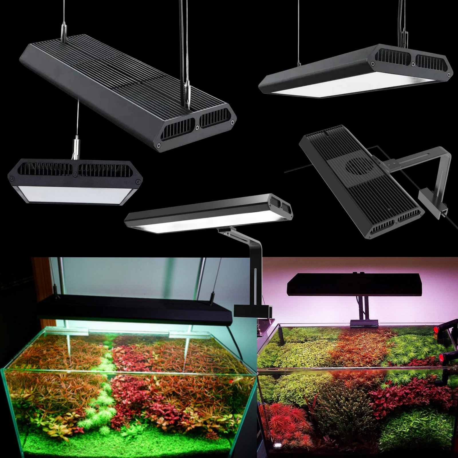 Picsart_25-09-28_01-36-37-050