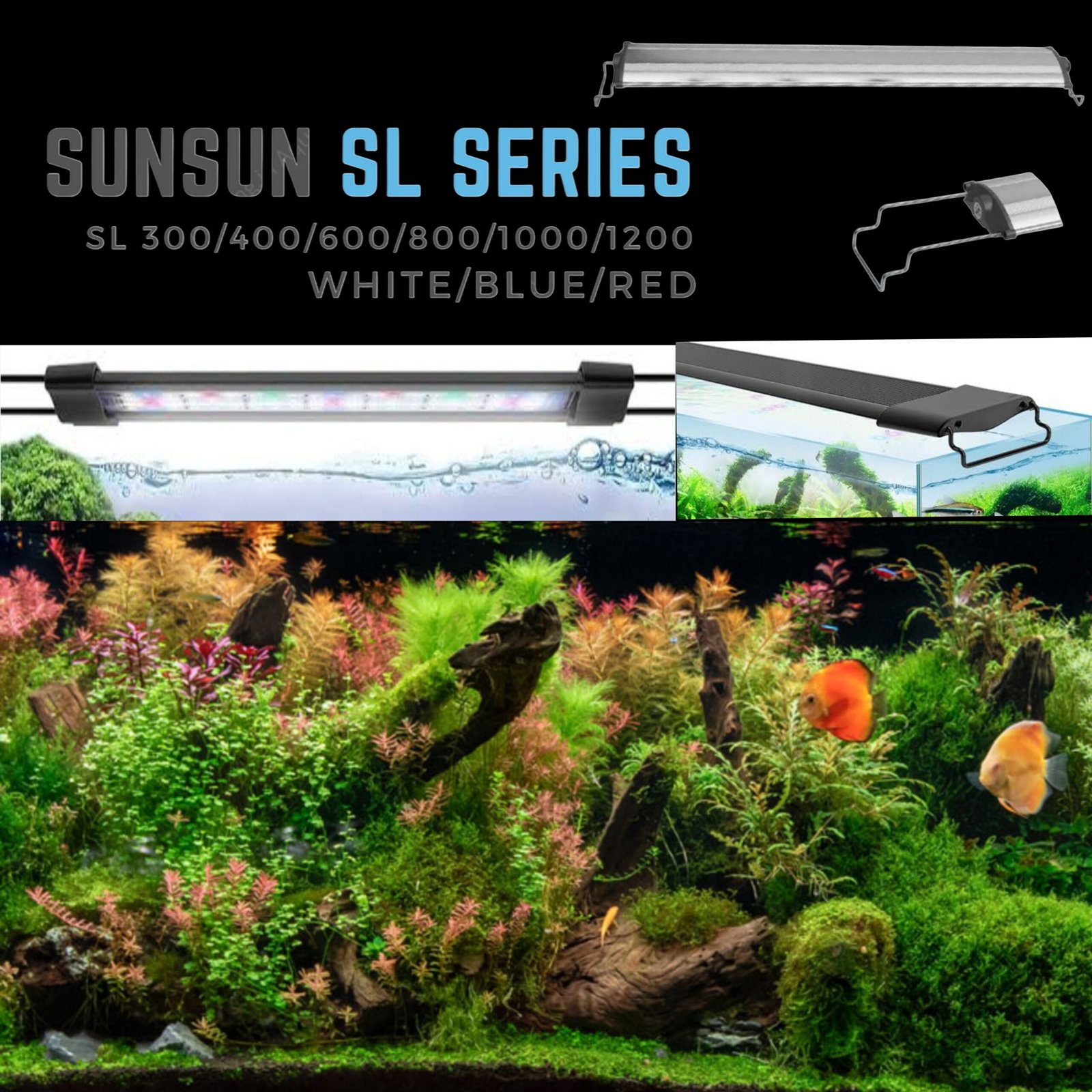 Picsart_25-09-28_14-56-38-769