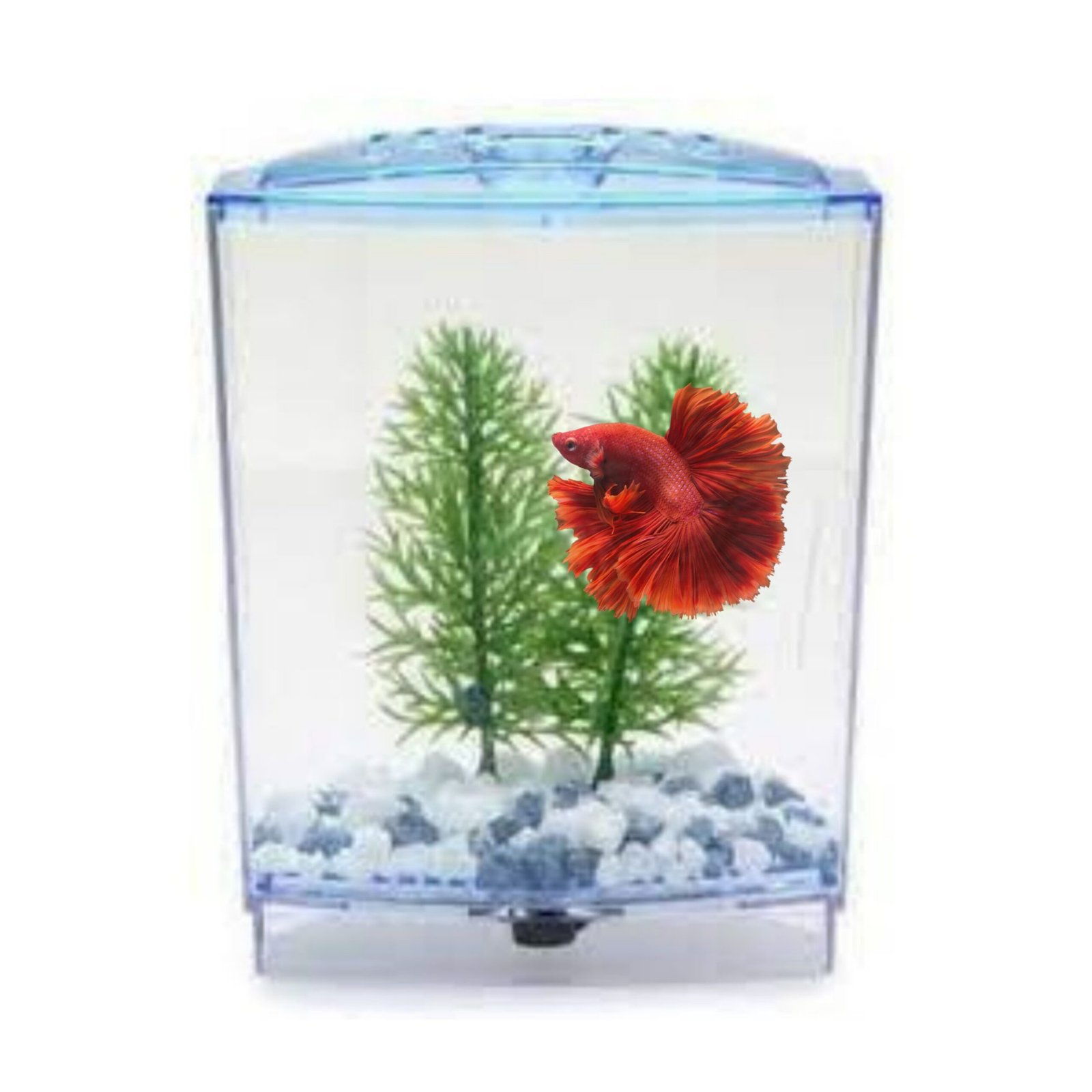 Picsart_25-10-01_00-17-56-125