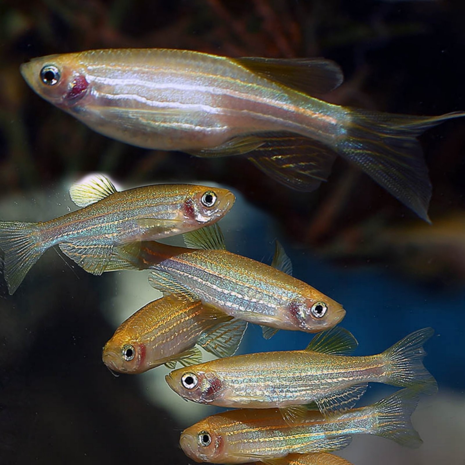 Picsart_25-10-19_23-23-41-654