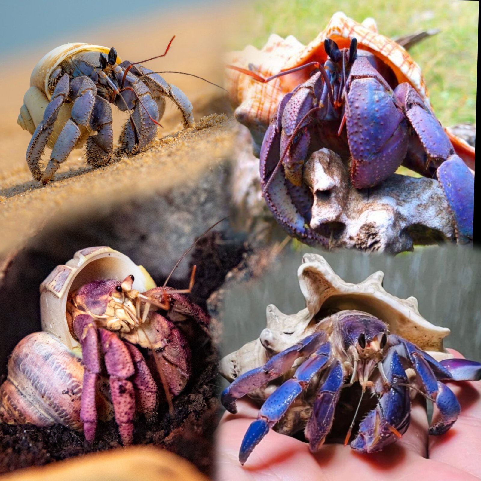 Picsart_25-10-20_13-09-17-851