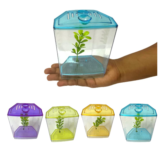 Screenshot-2024-01-24-130330