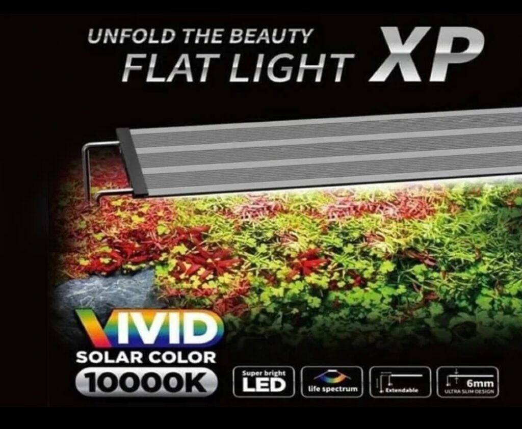 Helious Light (MEE) NEO Helious XP-450 Aquarium Light (24W) – SNK Aqua Pets | Live ...