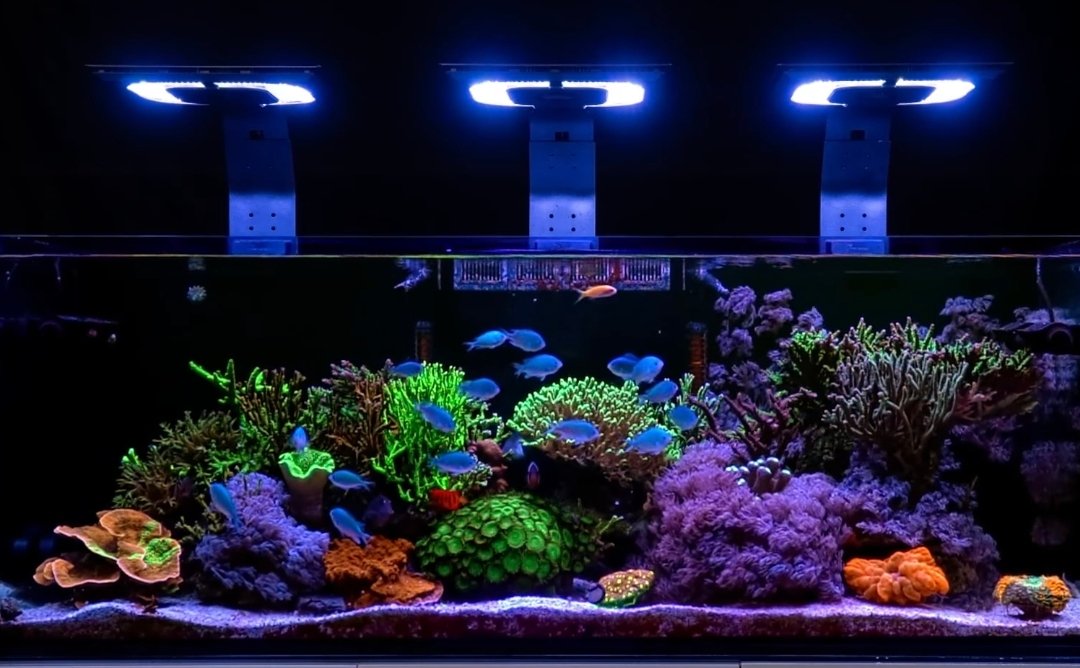 Screenshot_2025-09-28-00-33-48-415_com.android.chrome-edit